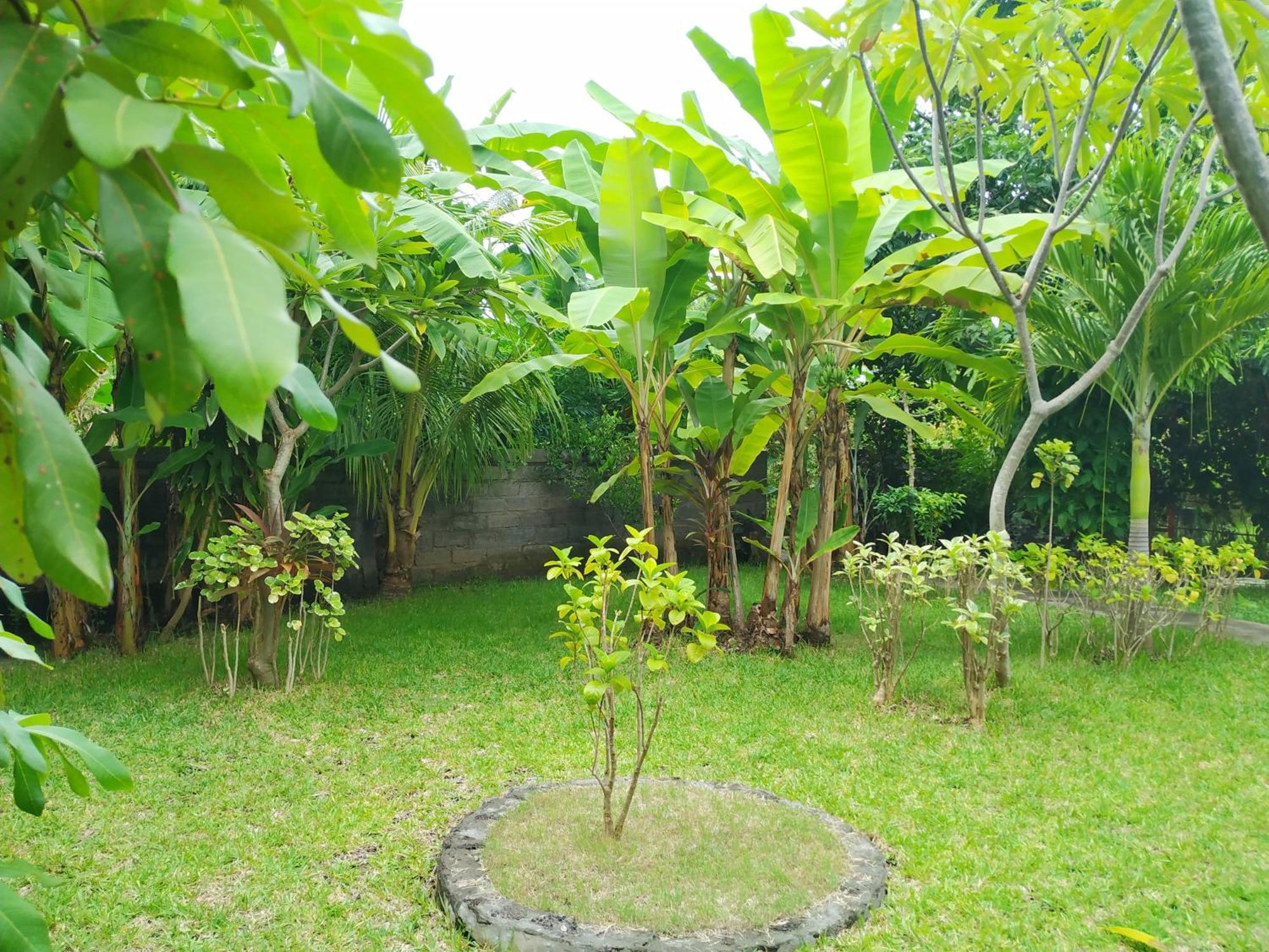 Asih Homestay Pemuteran Exterior foto