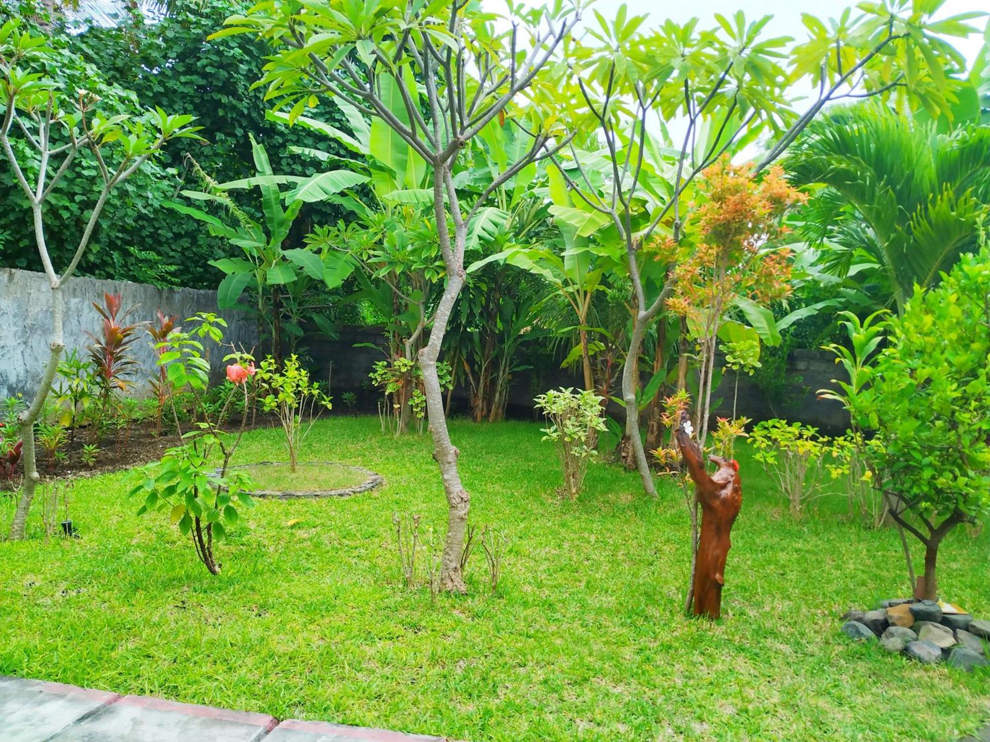 Asih Homestay Pemuteran Exterior foto