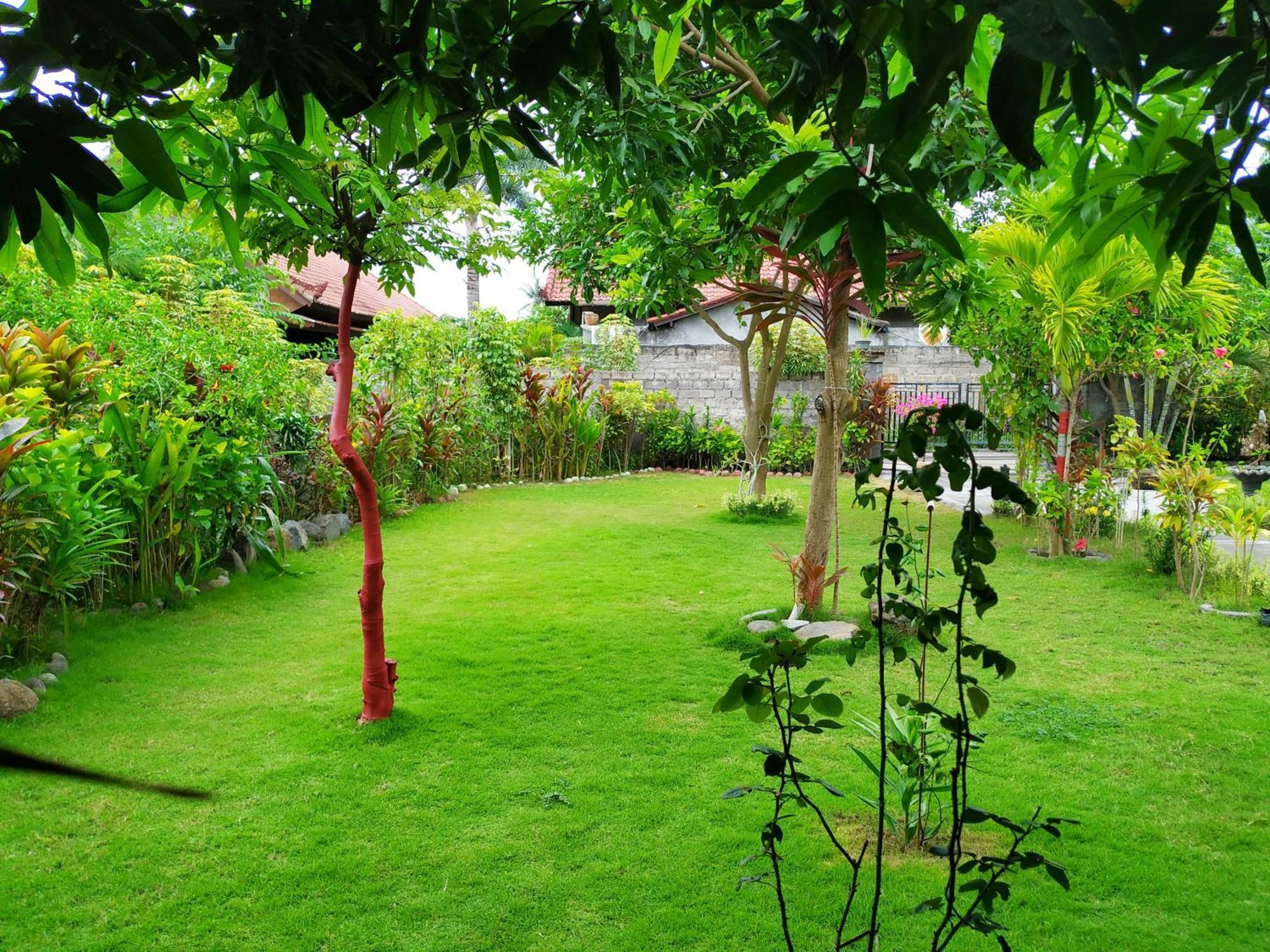 Asih Homestay Pemuteran Exterior foto