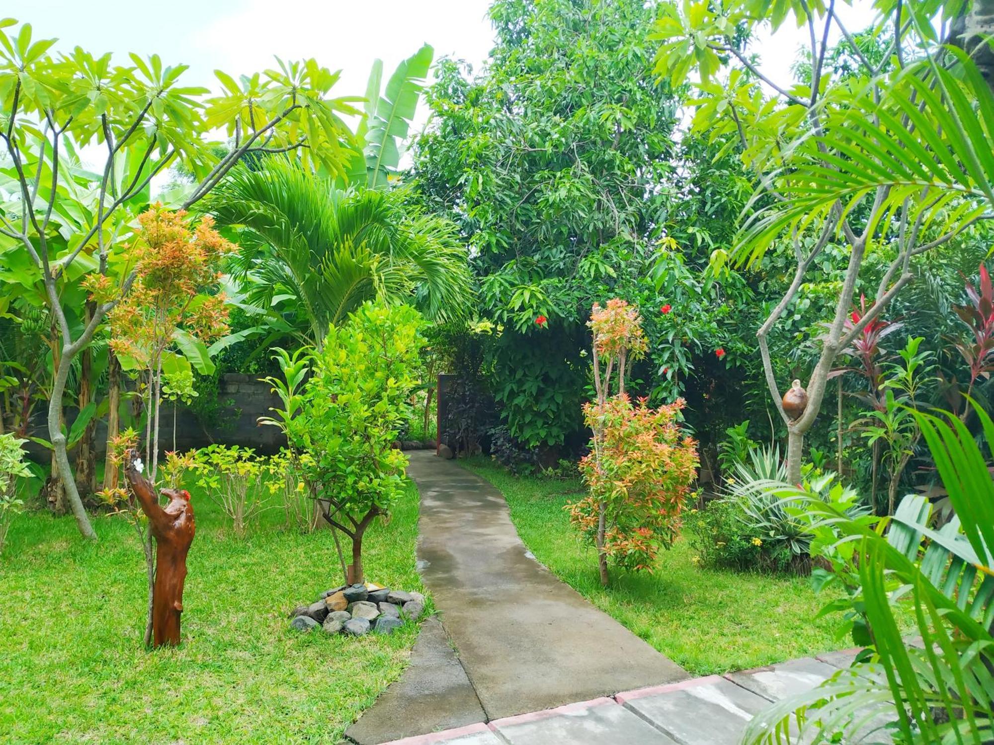 Asih Homestay Pemuteran Exterior foto